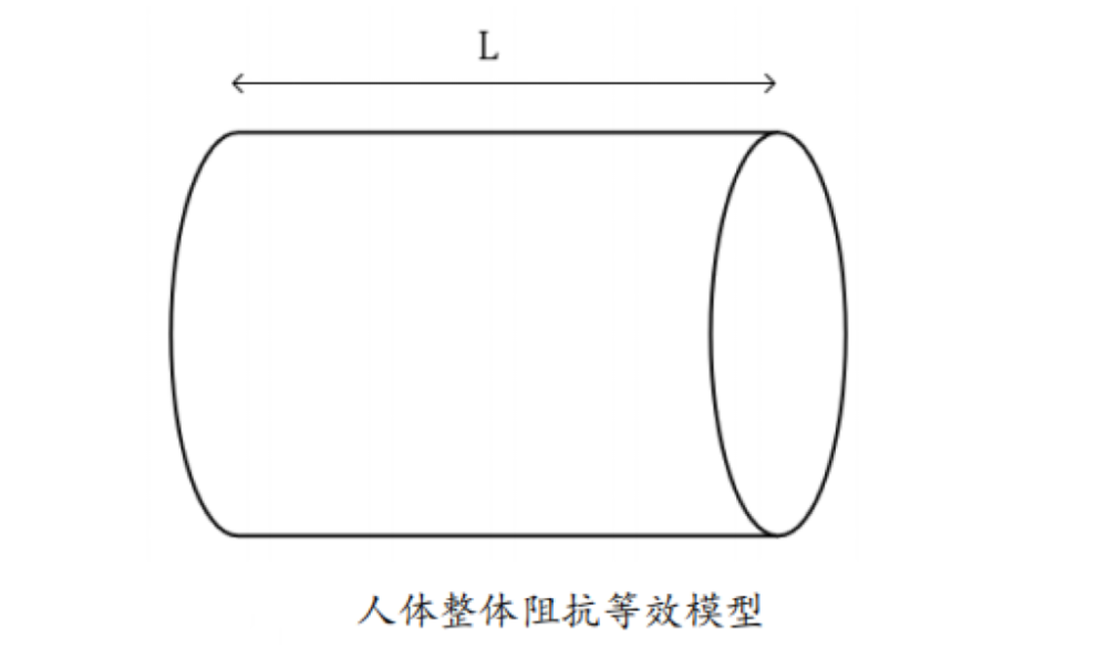 脂的？数据准确吗？一起来了解pg模拟器体脂秤是怎么测出体